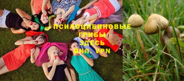 марки nbome Абаза