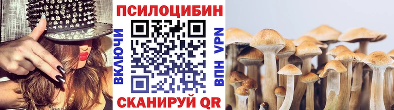цены наркотик  Керчь  Галлюциногенные грибы Psilocybine cubensis 